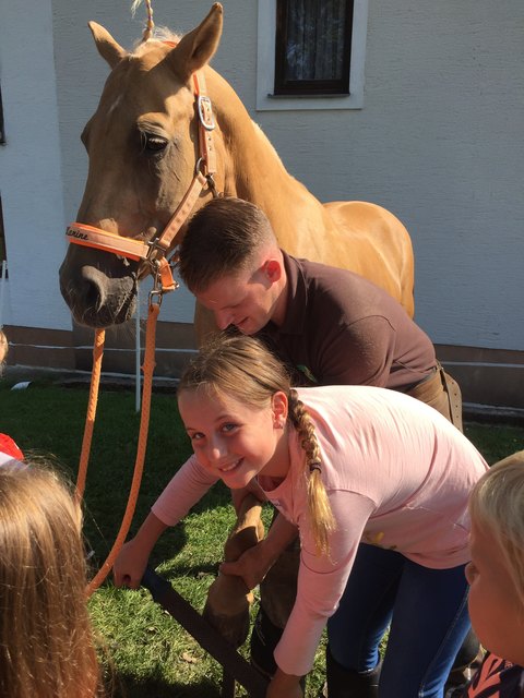 Foto: Kinderakadmie Partnerpfote