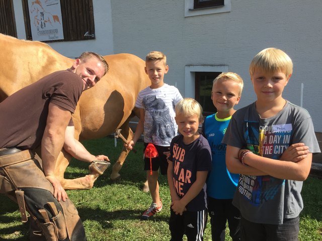 Foto: Kinderakadmie Partnerpfote