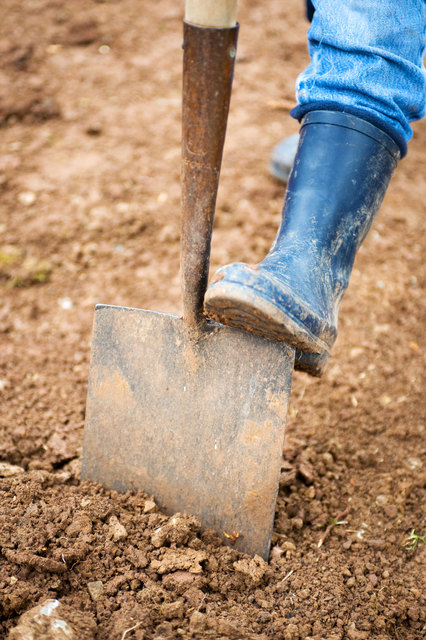 Ein sorgsamer Umgang mit dem Boden ist wichtig für Hochwasserschutz. | Foto: fotolia/Firma V