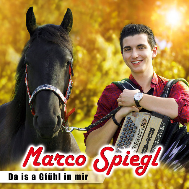 12 brandneue Titel finden sich auf dem neuen Album.