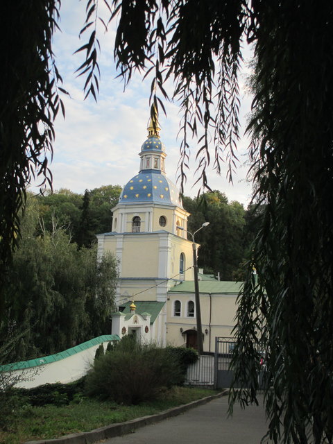 Ein schöner Aus-und Anblick...