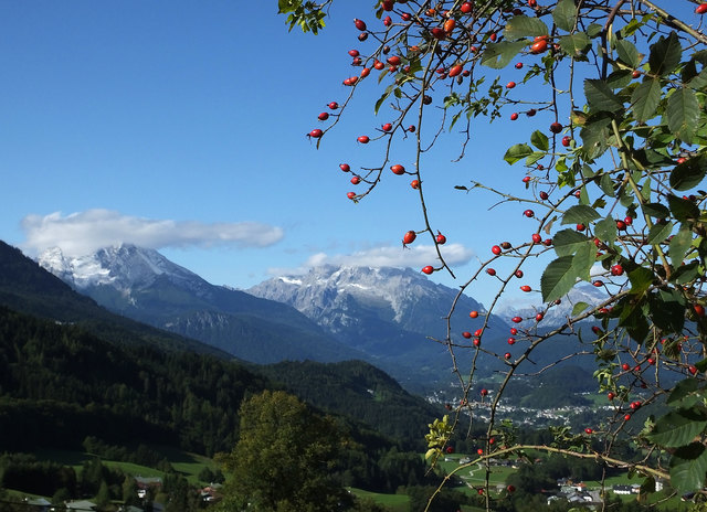 Watzmann und Hochkalter