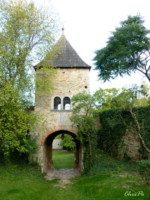 Burg Burgschleinitz Horn