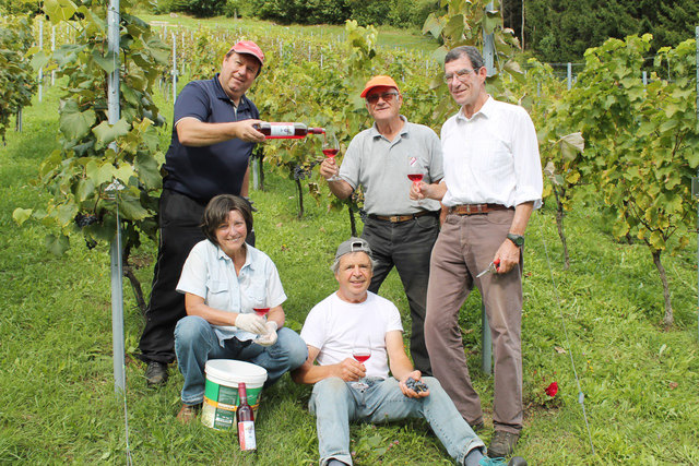 Horst Krainz, Herbert Lepitschnig, Peter Smolnig (hinten, von links), Walburga Smolnig und Valentin Tazoll bei der heurigen Weinlese | Foto: WOCHE