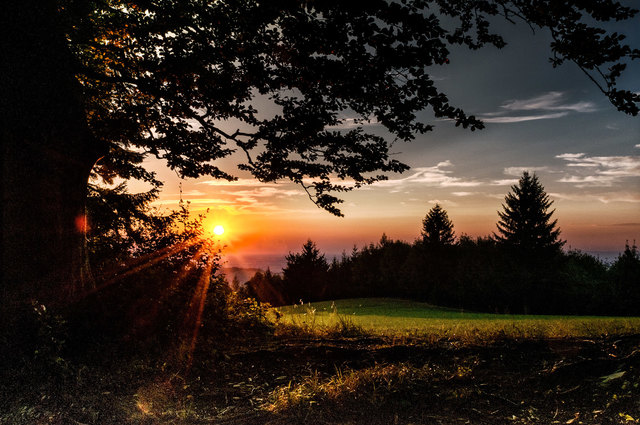 Mystisches Wandern am Panoramahöhenweg. | Foto: Stefan Hackl