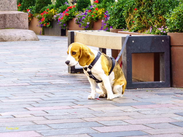 Wie lange muß ich denn noch warten :-(