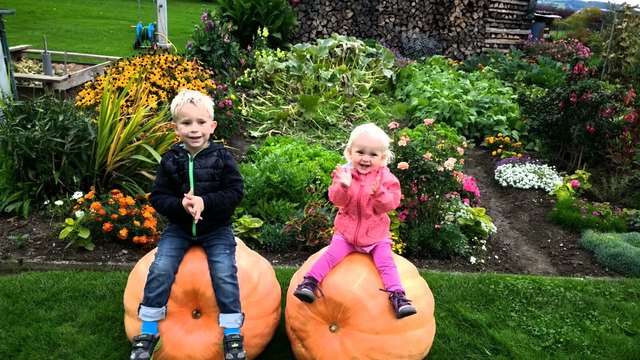 Hier sitzt es sich gut: Alexander und Valentina haben sichtlich Freude mit ihrer Ernte. | Foto: felberbauer
