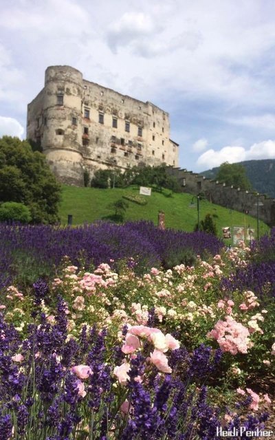 Die Blumenpracht in der Stadt Gmünd begeisterte die Jury bei der Blumenolympiade | Foto: kk/Penker