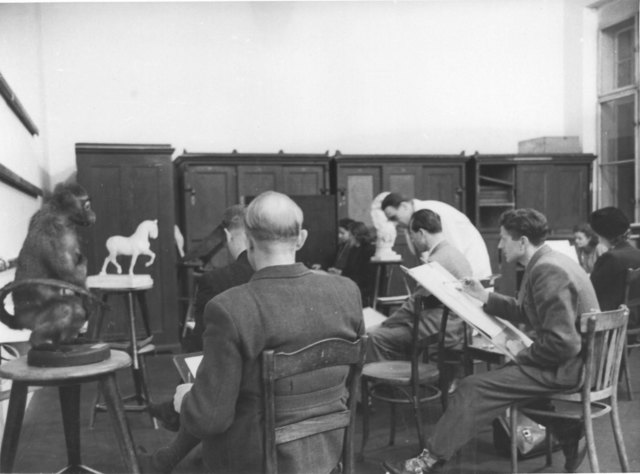 Foto: VHS Linz