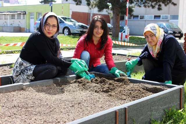 Urbanes Garteln fördert die Gesundheit. | Foto: Christian Schmidgunst