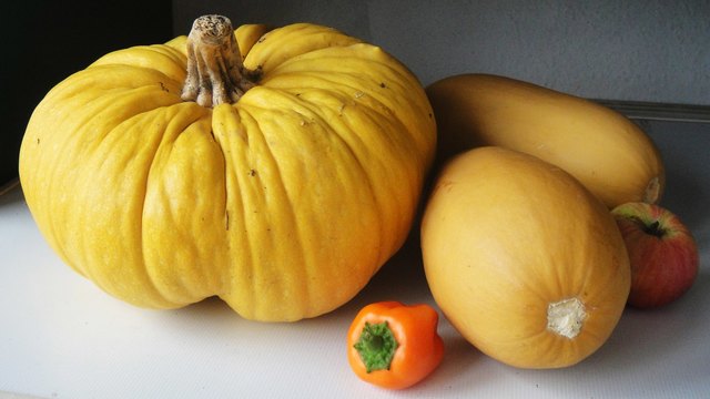Was der Garten so hergibt.