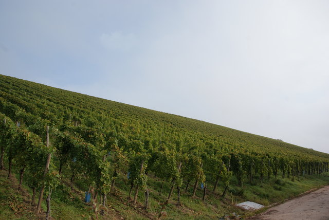 Foto: Othmar Kolp