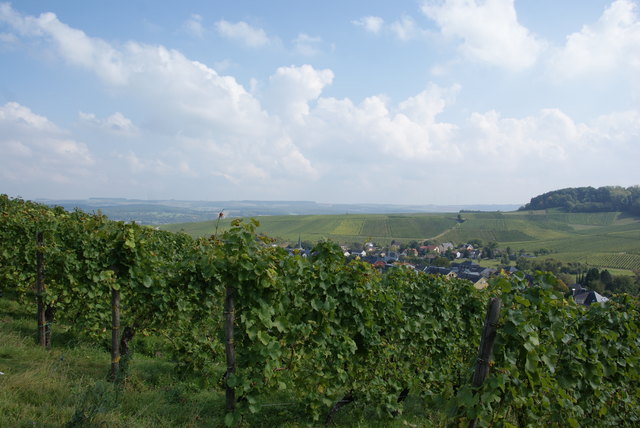 Foto: Othmar Kolp