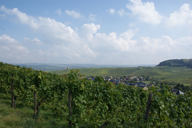 Foto: Othmar Kolp