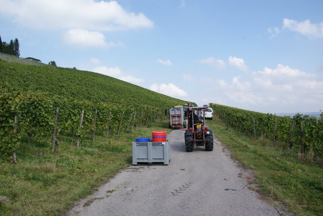Foto: Othmar Kolp