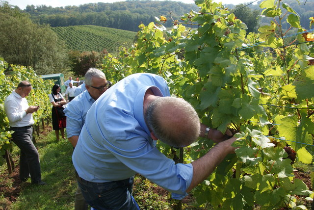 Foto: Othmar Kolp