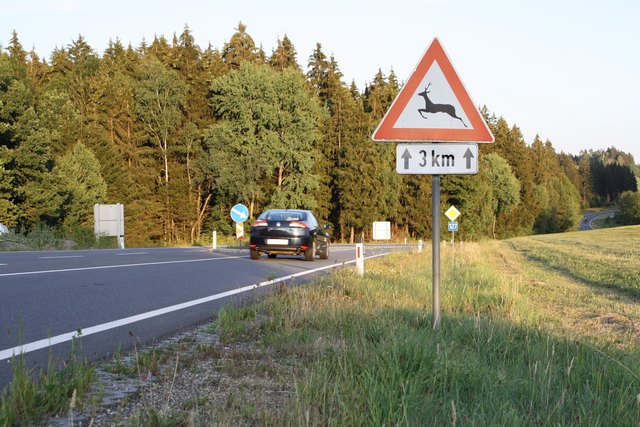 "Achtung Wildwechsel" – die Gefahrentafeln werden häufig von den Autofahrern unterschätzt. Die Tafeln sind mit Polizei, Bezirkshauptmannschaft und Jägern abgestimmt. | Foto: OÖ Landesjagdverband