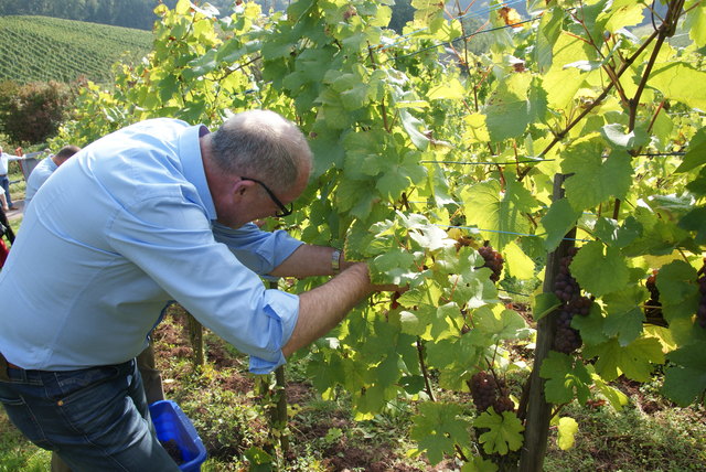 Foto: Othmar Kolp