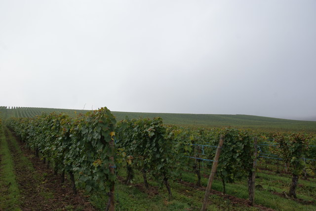 Foto: Othmar Kolp