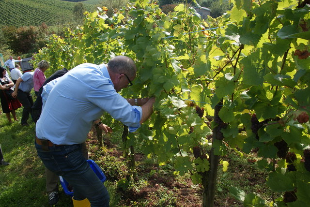 Foto: Othmar Kolp