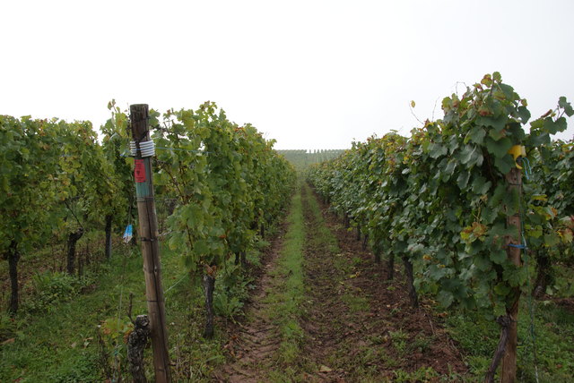Foto: Othmar Kolp
