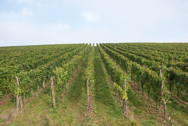 Foto: Othmar Kolp