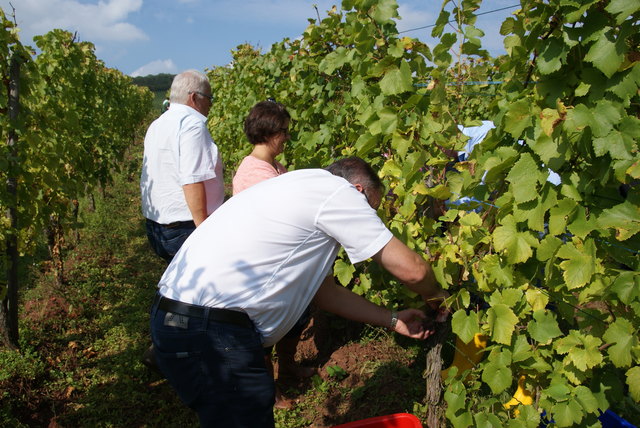 Foto: Othmar Kolp