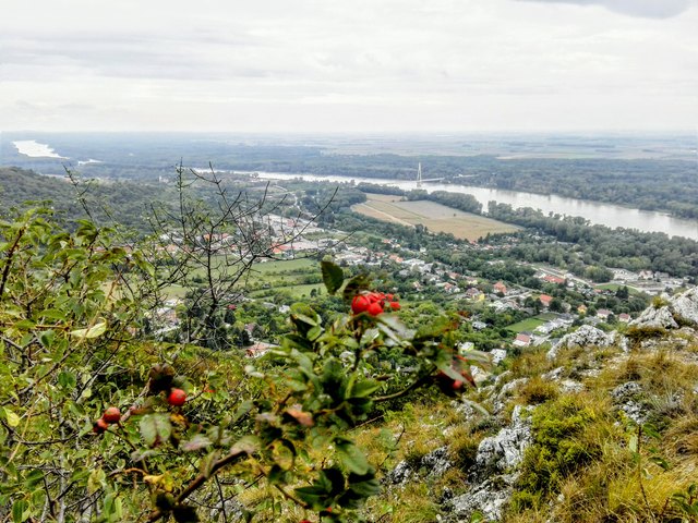 Foto: Gabriella Bösze