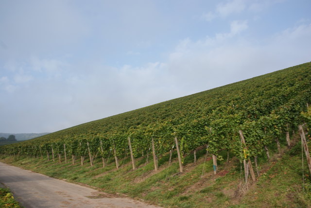 Foto: Othmar Kolp