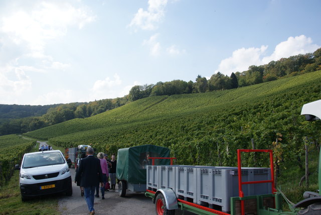 Foto: Othmar Kolp