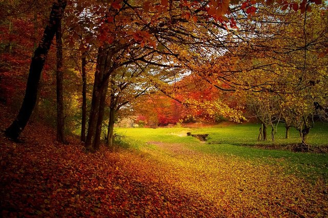 Foto: pixabay.com
