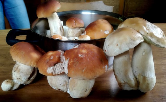 und Paarweise geht's in den Kochtopf !