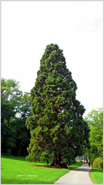 Im Pötzleinsdorfer Schlosspark