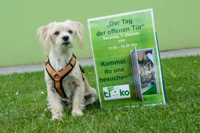 Foto: Sonja Widerström