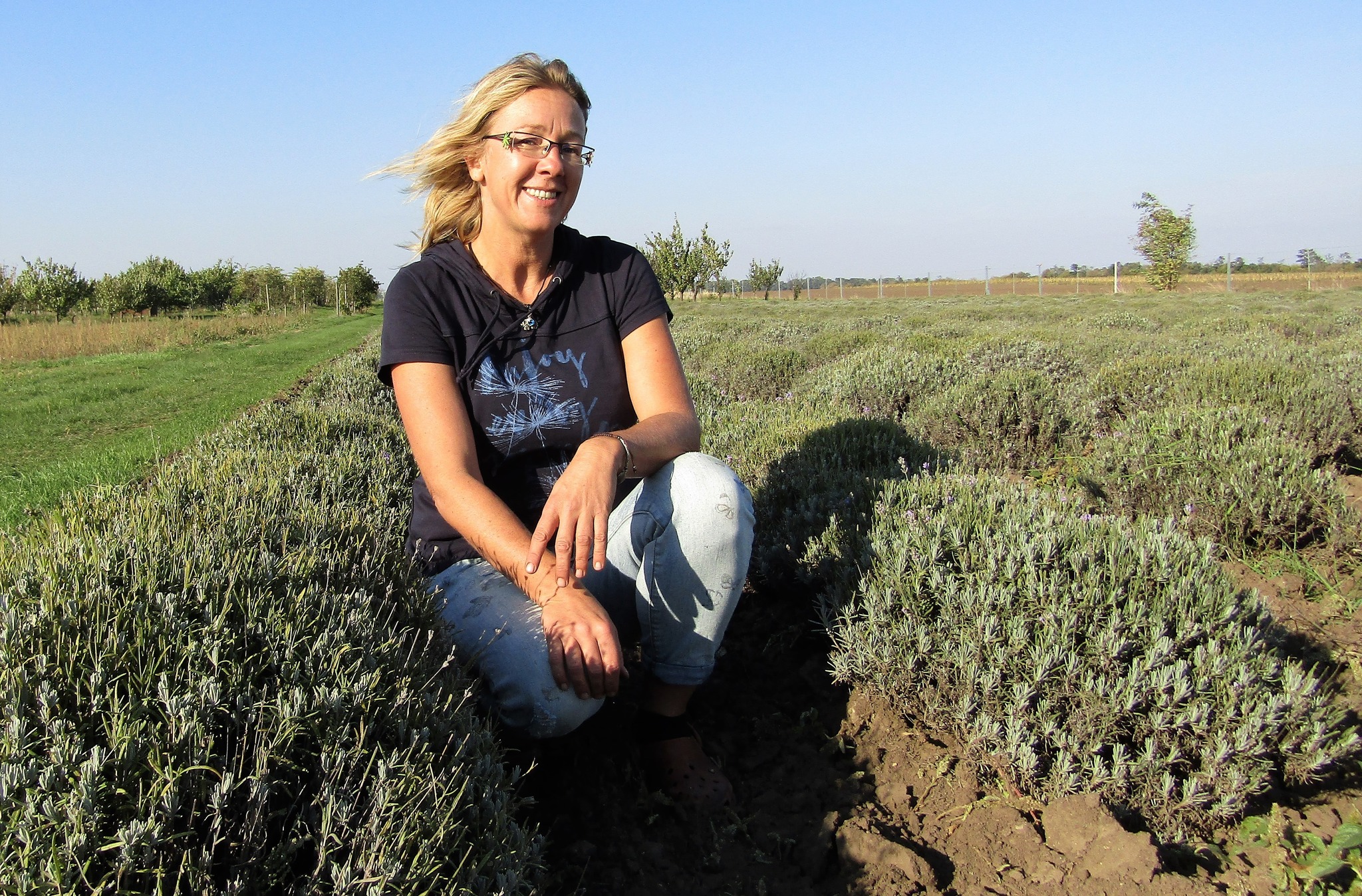 Die Lavendelkönigin von Wulzeshofen Mistelbach