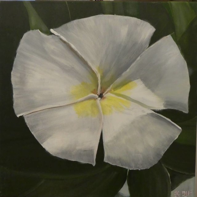 Koviljka Ilic: Blume