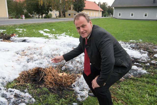 Foto: FOTOKERSCHI.AT/KERSCHBAUMMAYR