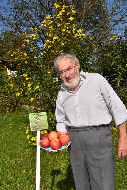 Äpfel vom ältesten Baum des Landes.