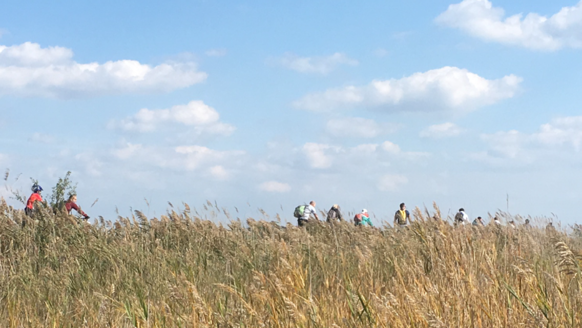 Viele fahren vorbei ...