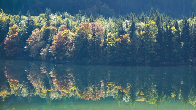 NMS Rohrbach am Laudachsee