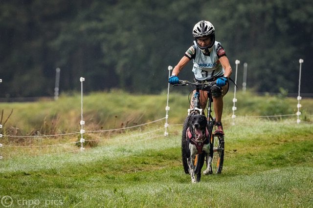Petra Bergauer qualifiziert sich für Canicross WM in Polen Petra Bergauer qualifiziert sich für Canicross WM in Polen