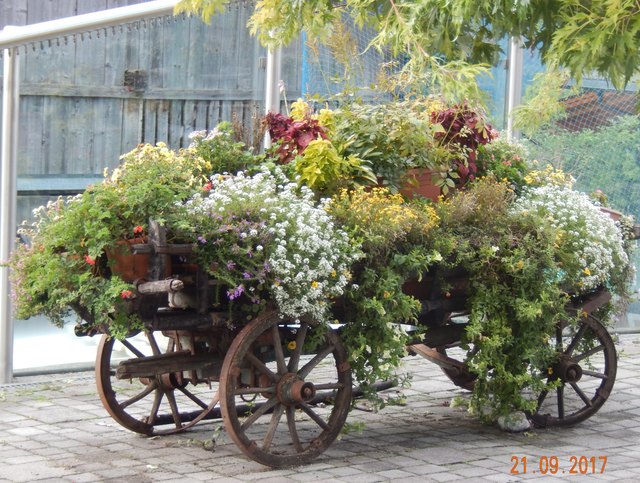 Irschen