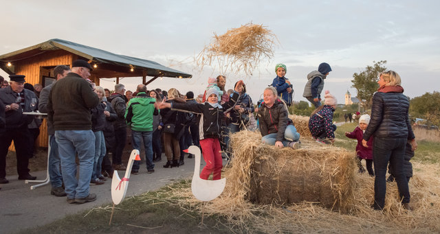 Genusswanderungen von Oggau nach Rust: am 14. und 15. Oktober von  13-19 Uhr. | Foto: Stockinger