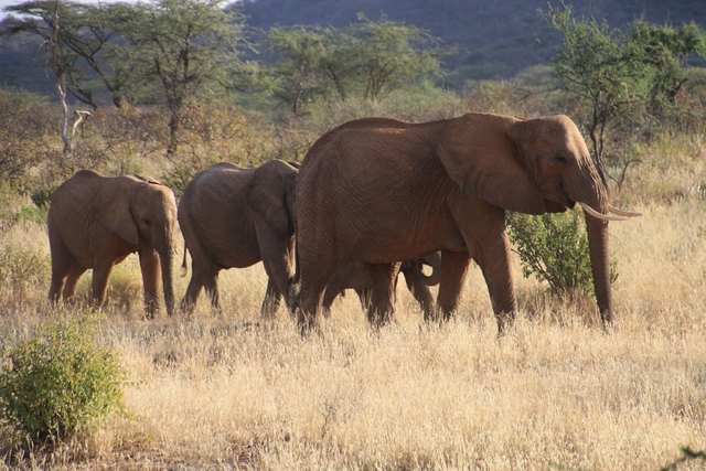 Foto: @Josef Vollnhofer