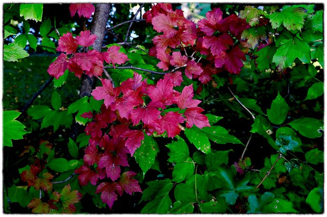 Herbst am Fischerteich in Hirm
