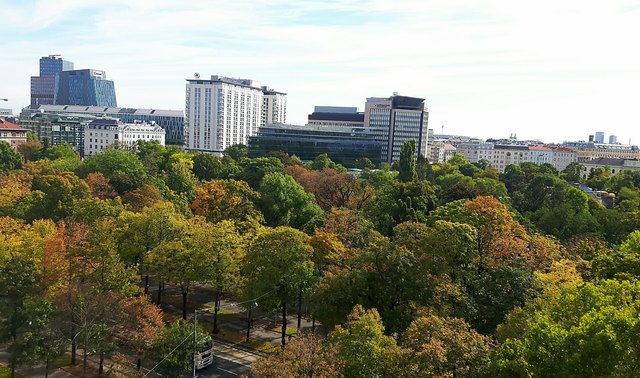Herbstlicher Blick aus dem Büro am Wiener Parkring auf den prächtigen Stadtpark. :-)