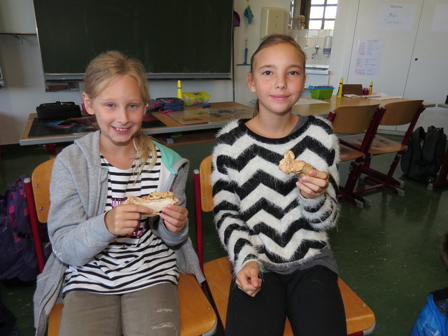 Die spannende Welt der Knochen erfahren die Schulkinder der PraxisNeuenMittelschule 1210 in den Workshops von Miriam Weberstorfer von ArchäoNOW.