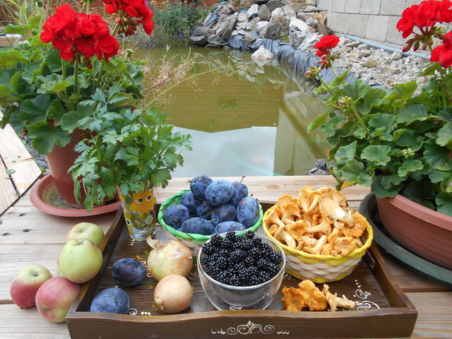 Der Herbst kann so gut schmecken