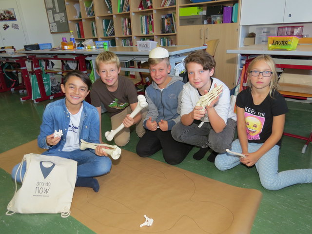 Beim Workshop „Knochenarbeit“ werden Schulkinder der PraxisNeuenMittelschule 1210 selbst zu Forschern.