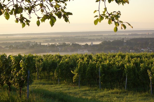 Morgennebel im Pinkatal